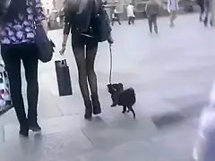 nice legs