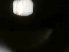 real spy2