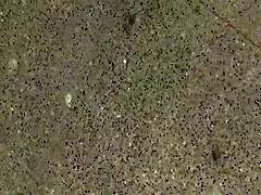 sexy feet at busstop